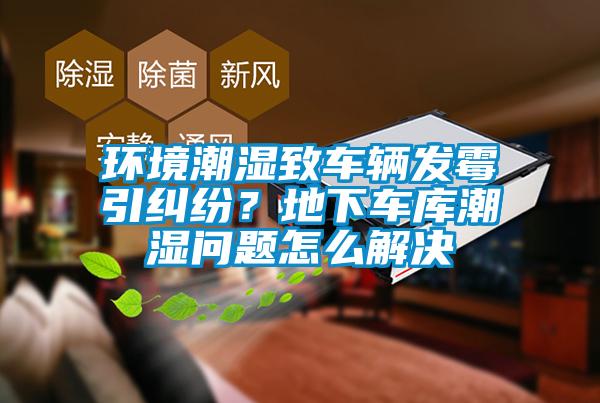環(huán)境潮濕致車(chē)輛發(fā)霉引糾紛？地下車(chē)庫(kù)潮濕問(wèn)題怎么解決