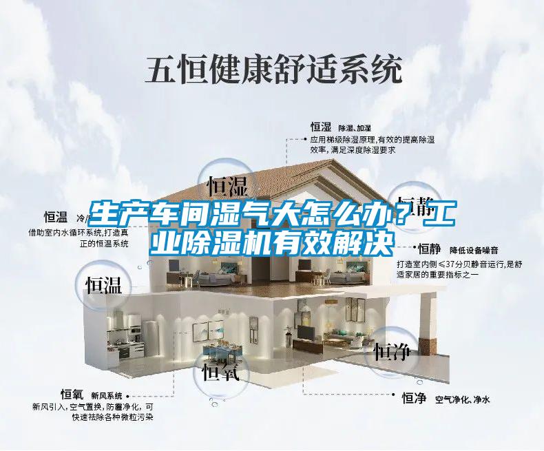生產(chǎn)車(chē)間濕氣大怎么辦？工業(yè)除濕機(jī)有效解決