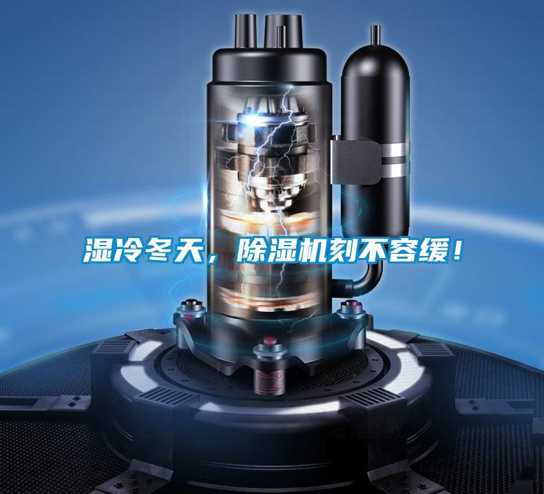 濕冷冬天，除濕機刻不容緩！