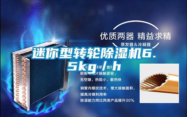 迷你型轉(zhuǎn)輪除濕機(jī)6.5kg／h