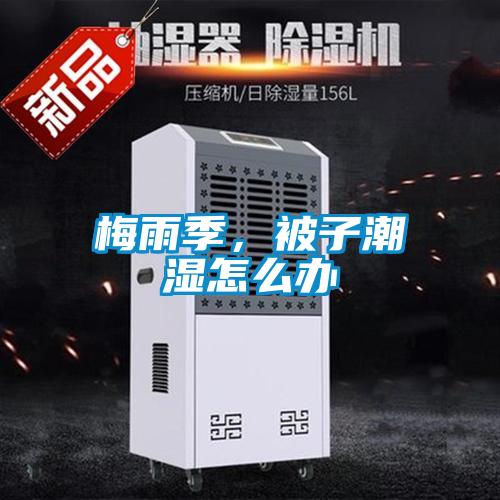 梅雨季，被子潮濕怎么辦