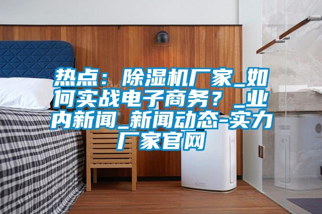 熱點：除濕機廠家_如何實戰(zhàn)電子商務？_業(yè)內新聞_新聞動態(tài)-實力廠家官網(wǎng)