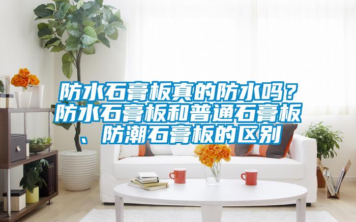 防水石膏板真的防水嗎？防水石膏板和普通石膏板、防潮石膏板的區(qū)別