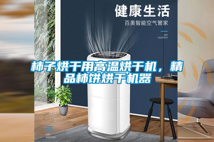 柿子烘干用高溫烘干機(jī)，精品柿餅烘干機(jī)器