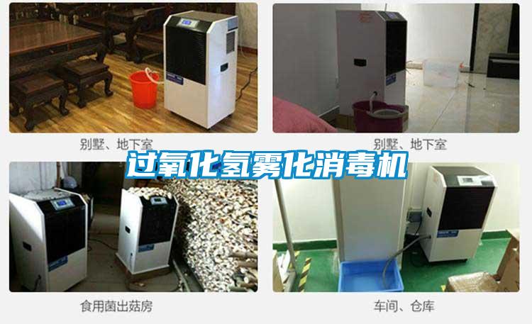 過氧化氫霧化消毒機(jī)