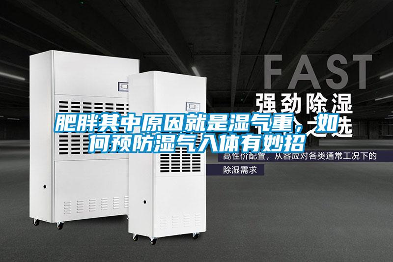 肥胖其中原因就是濕氣重，如何預(yù)防濕氣入體有妙招