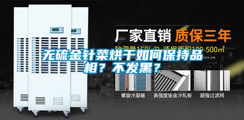 無硫金針菜烘干如何保持品相？不發(fā)黑？