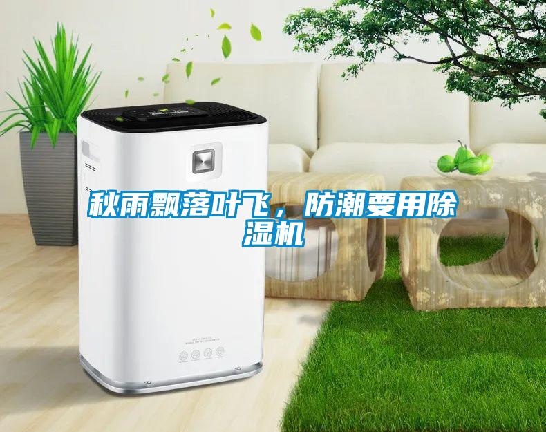 秋雨飄落葉飛，防潮要用除濕機(jī)