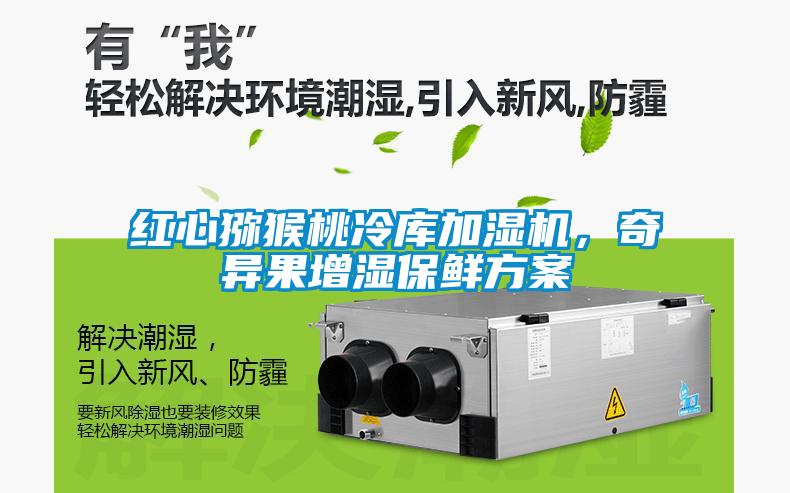 紅心獼猴桃冷庫加濕機(jī)，奇異果增濕保鮮方案