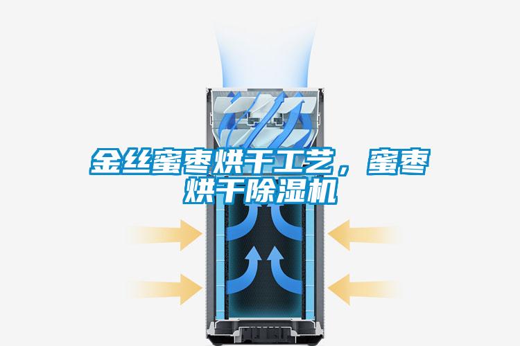 金絲蜜棗烘干工藝，蜜棗烘干除濕機