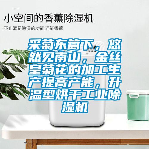 采菊東籬下，悠然見南山，金絲皇菊花的加工生產(chǎn)提高產(chǎn)能，升溫型烘干工業(yè)除濕機