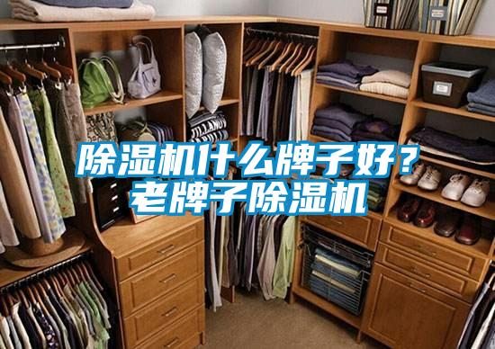 除濕機(jī)什么牌子好？老牌子除濕機(jī)