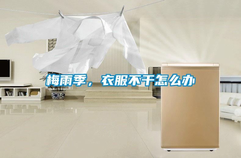 梅雨季，衣服不干怎么辦