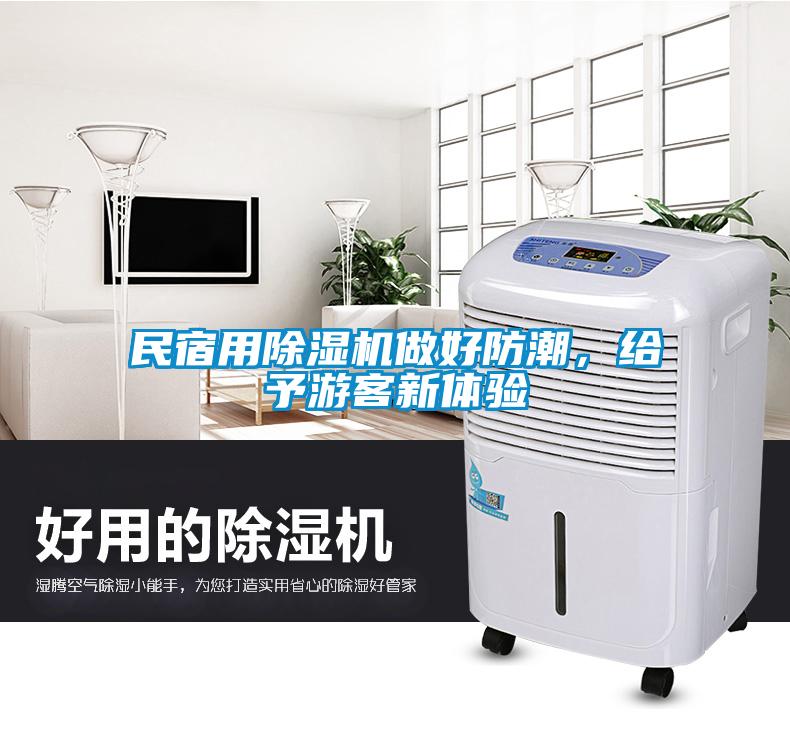 民宿用除濕機(jī)做好防潮，給予游客新體驗(yàn)