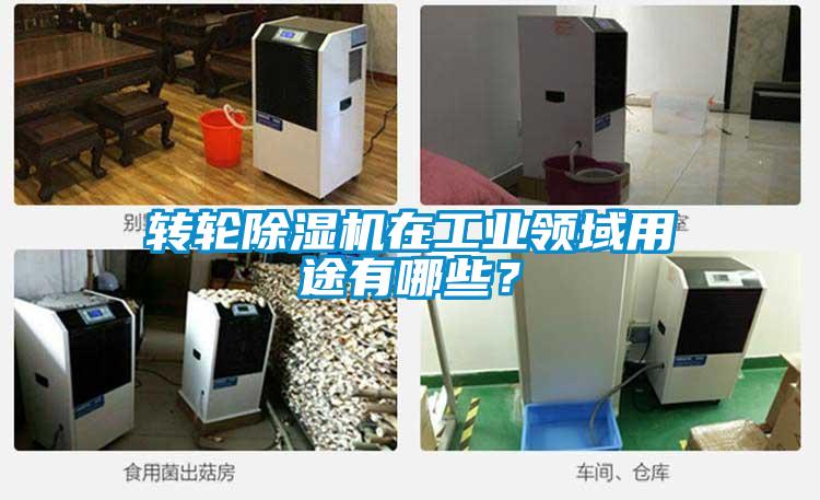 轉(zhuǎn)輪除濕機在工業(yè)領(lǐng)域用途有哪些？