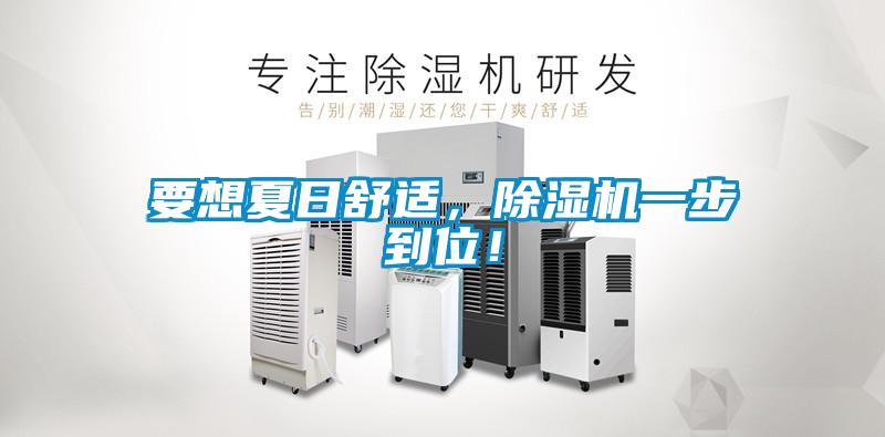 要想夏日舒適，除濕機(jī)一步到位！