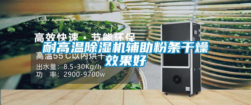 耐高溫除濕機(jī)輔助粉條干燥效果好