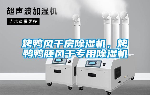 烤鴨風(fēng)干房除濕機(jī)，烤鴨鴨胚風(fēng)干專用除濕機(jī)