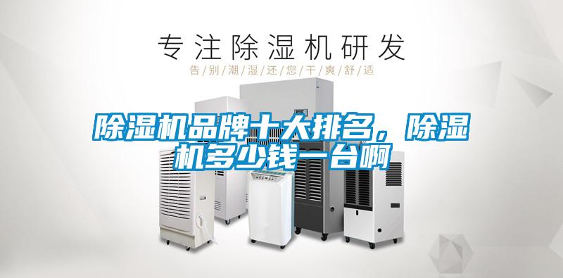 除濕機(jī)品牌十大排名，除濕機(jī)多少錢一臺(tái)啊