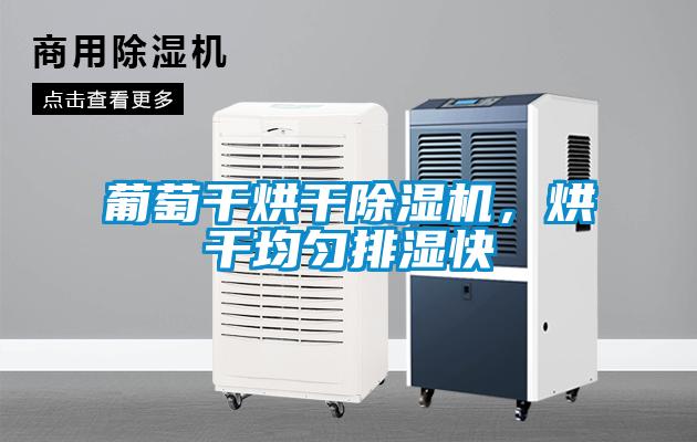 葡萄干烘干除濕機(jī)，烘干均勻排濕快