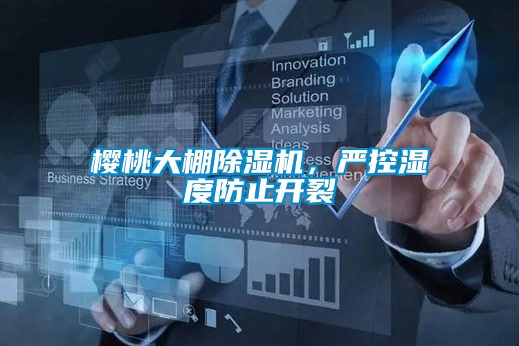 櫻桃大棚除濕機，嚴(yán)控濕度防止開裂