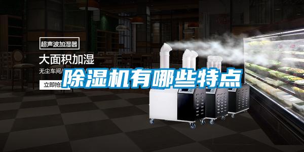 除濕機(jī)有哪些特點(diǎn)