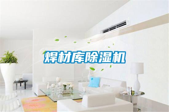 焊材庫除濕機(jī)