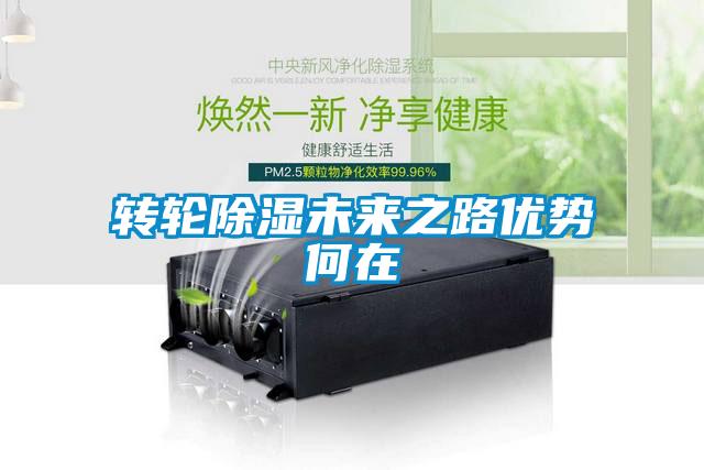 轉(zhuǎn)輪除濕未來(lái)之路優(yōu)勢(shì)何在