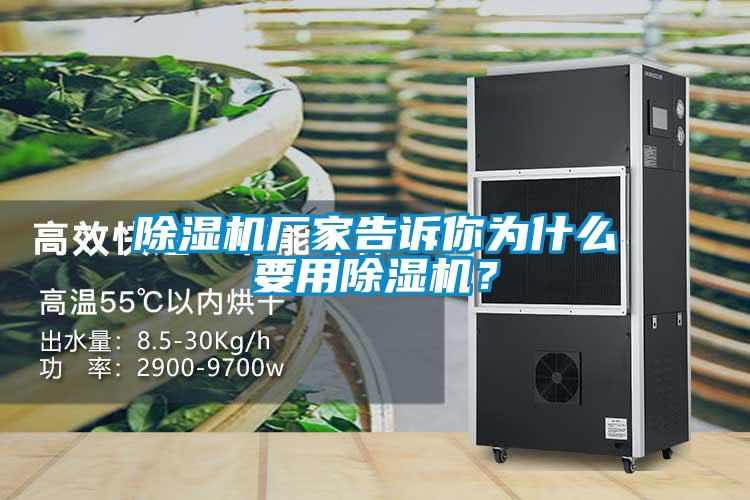 除濕機廠家告訴你為什么要用除濕機？