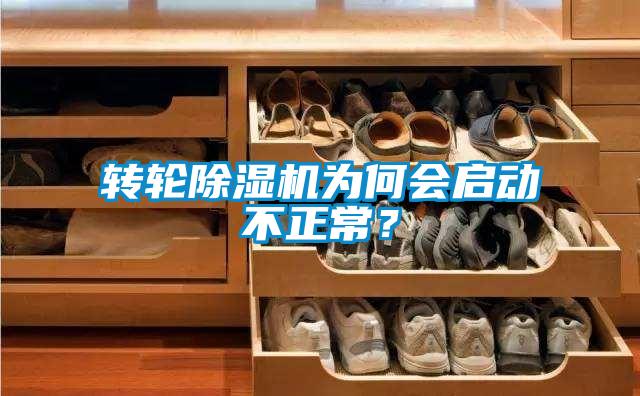 轉(zhuǎn)輪除濕機(jī)為何會啟動不正常？