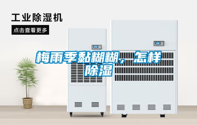 梅雨季黏糊糊，怎樣除濕