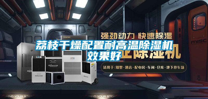 荔枝干燥配置耐高溫除濕機(jī)效果好