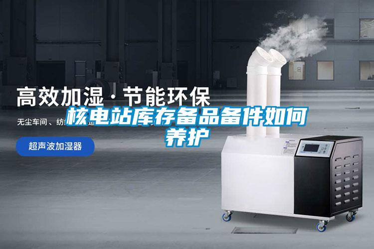 核電站庫存?zhèn)淦穫浼绾勿B(yǎng)護(hù)