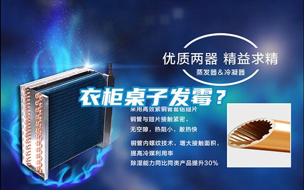 衣柜桌子發(fā)霉？