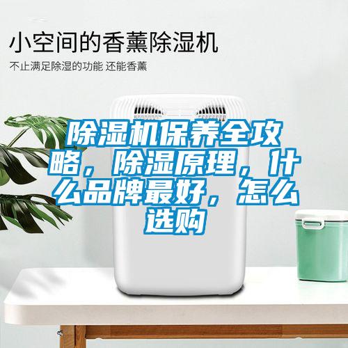 除濕機(jī)保養(yǎng)全攻略，除濕原理，什么品牌最好，怎么選購(gòu)