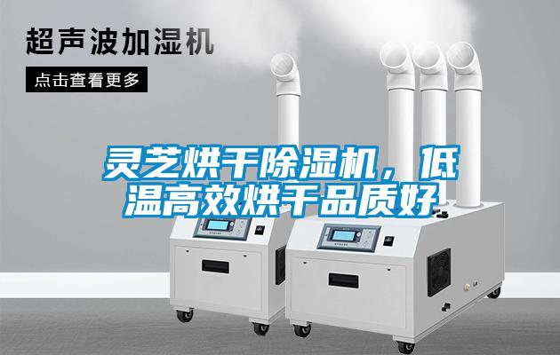 靈芝烘干除濕機(jī)，低溫高效烘干品質(zhì)好