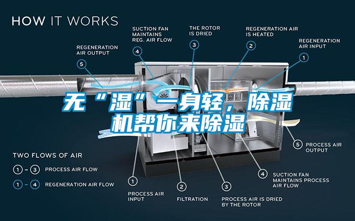 無“濕”一身輕，除濕機幫你來除濕