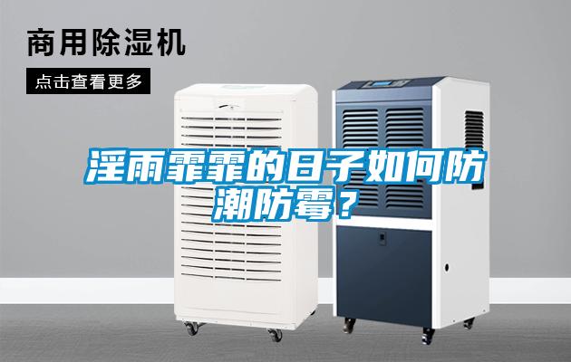 淫雨霏霏的日子如何防潮防霉？
