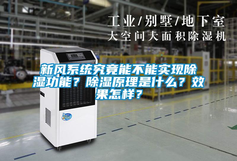新風系統(tǒng)究竟能不能實現(xiàn)除濕功能？除濕原理是什么？效果怎樣？
