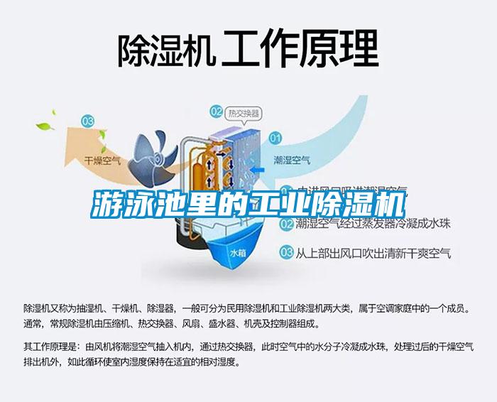 游泳池里的工業(yè)除濕機