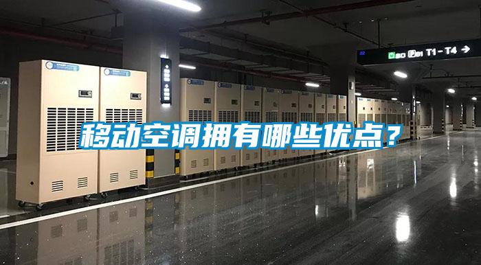 移動(dòng)空調(diào)擁有哪些優(yōu)點(diǎn)？