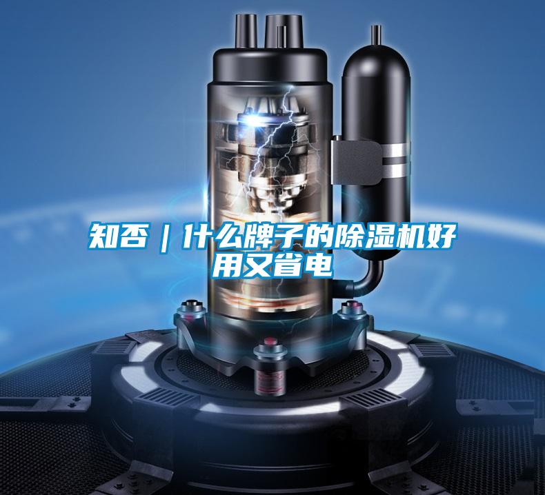 知否｜什么牌子的除濕機好用又省電
