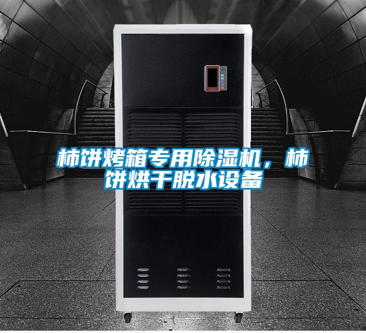 柿餅烤箱專用除濕機(jī),柿餅烘干脫水設(shè)備