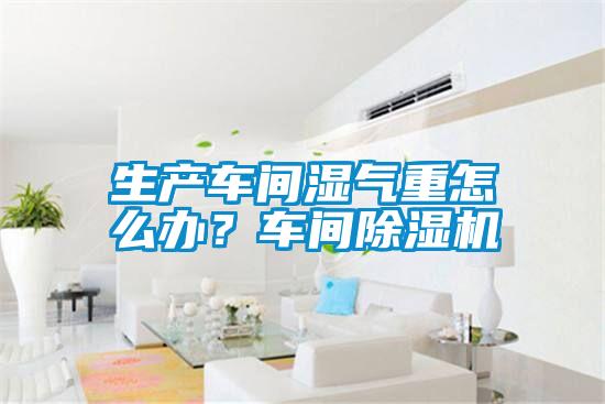 生產(chǎn)車間濕氣重怎么辦？車間除濕機