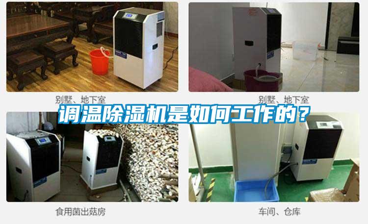 調(diào)溫除濕機(jī)是如何工作的？