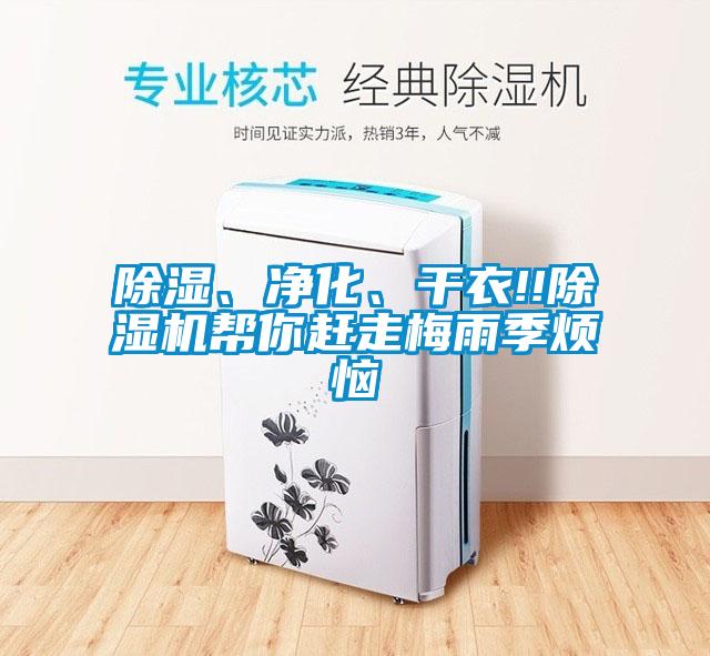 除濕、凈化、干衣!!除濕機幫你趕走梅雨季煩惱
