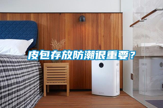 皮包存放防潮很重要？