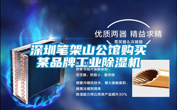 深圳筆架山公館購(gòu)買(mǎi)某品牌工業(yè)除濕機(jī)