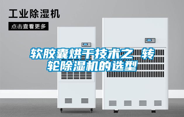 軟膠囊烘干技術(shù)之 轉(zhuǎn)輪除濕機(jī)的選型