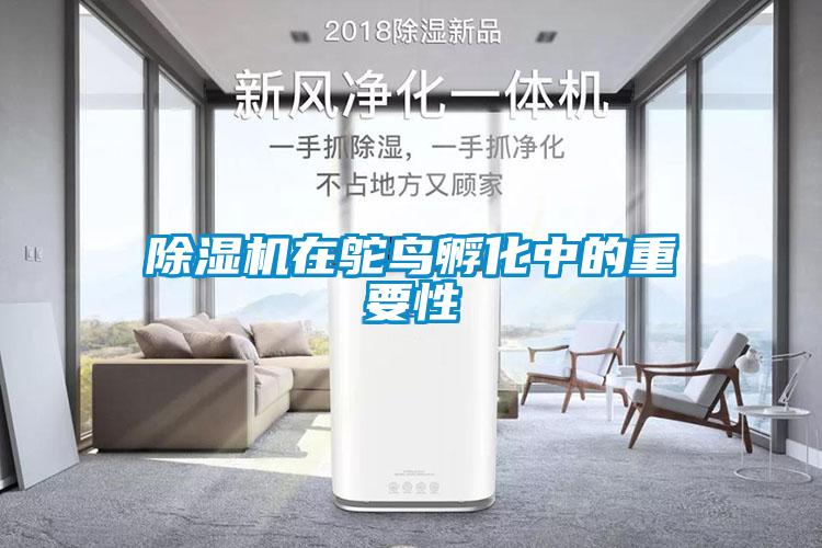 除濕機(jī)在鴕鳥孵化中的重要性